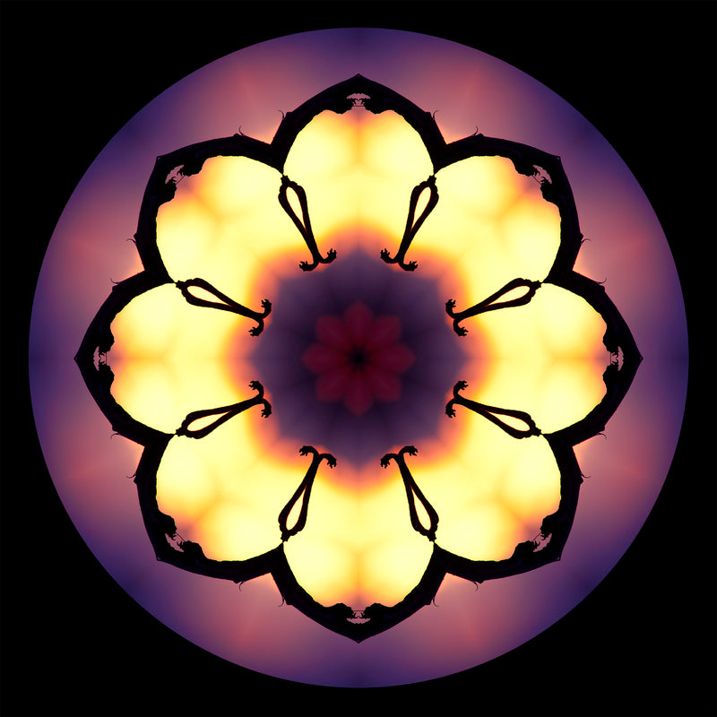 Holiday Art Exhibit 2014 - curated by AnaLuiza Douthwaite